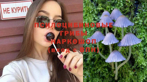экстази Губаха