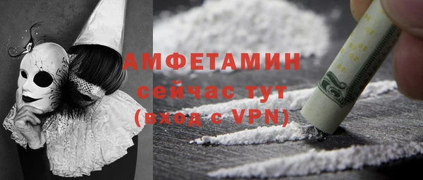 молекула духа Михайлов