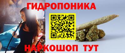 ECSTASY Абакан