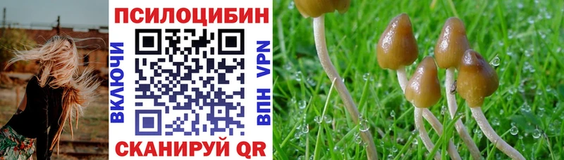 цена   Луховицы  Галлюциногенные грибы прущие грибы 