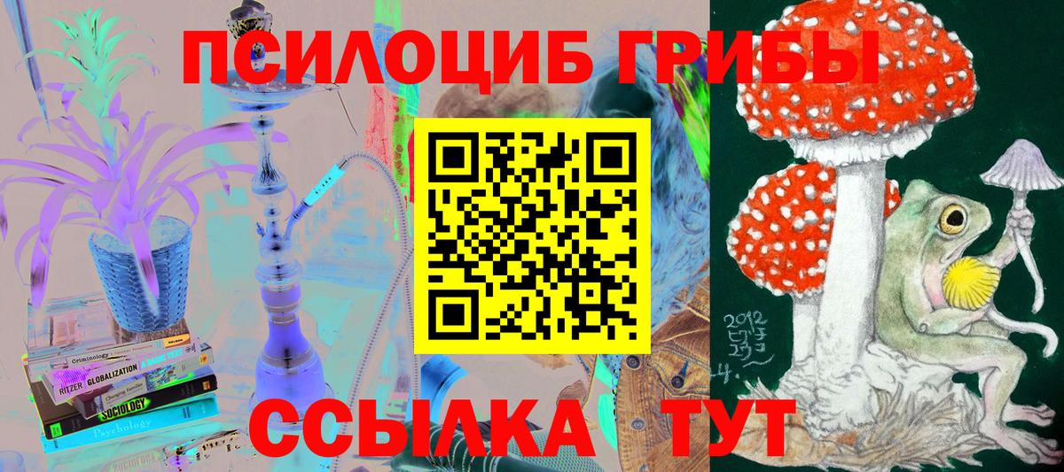цена   Псилоцибиновые грибы Magic Shrooms  Вход с VPN  Луховицы 