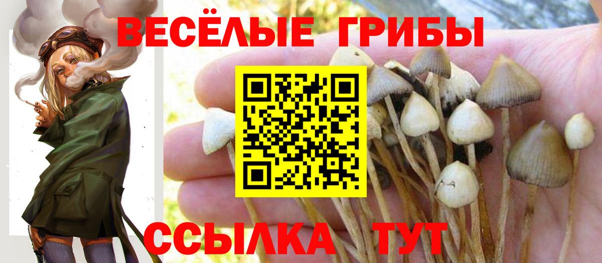 Галлюциногенные грибы мухоморы Луховицы